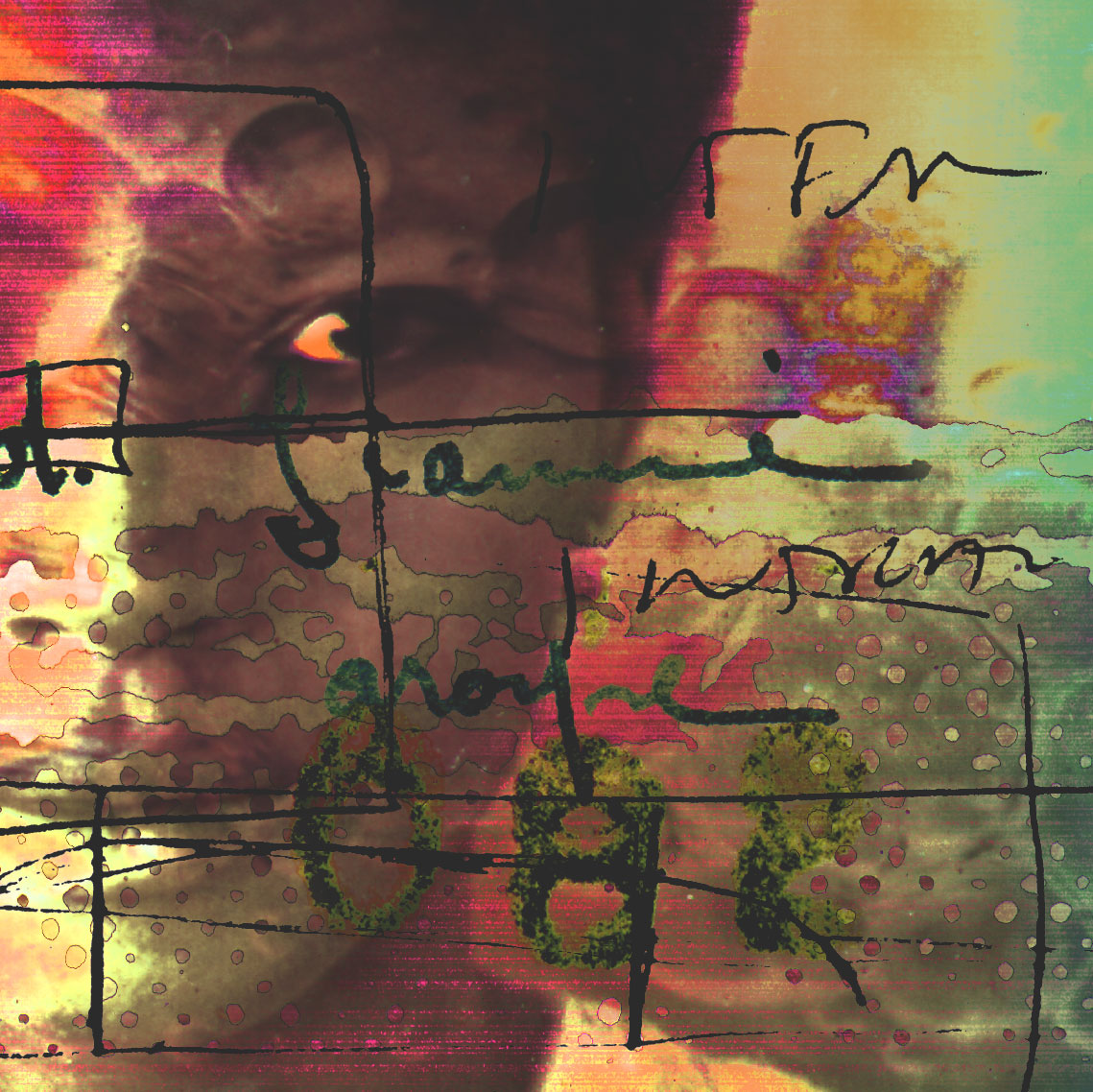 Untitled #06